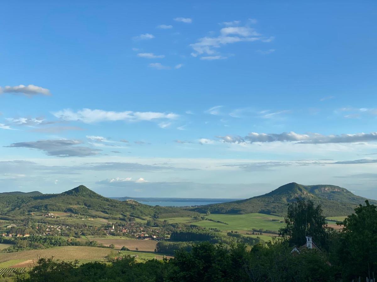 Chateau Segesdi Borapartman Gyulakeszi Kültér fotó